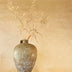 7 Reasons Natural Plaster Walls Are the Future of Interior Design