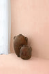 Mas Maya Coating Rosehip Sample Plaque